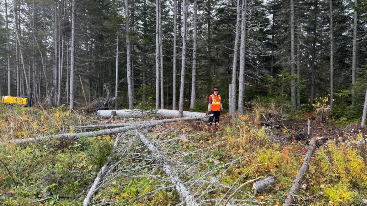 𝐓𝐑𝐀𝐈𝐋 𝐒𝐀𝐅𝐄𝐓𝐘 𝐀𝐃𝐕𝐈𝐒𝐎𝐑𝐘 – 𝐋𝐎𝐆𝐆𝐈𝐍𝐆 𝐎𝐏𝐄𝐑𝐀𝐓𝐈𝐎𝐍𝐒