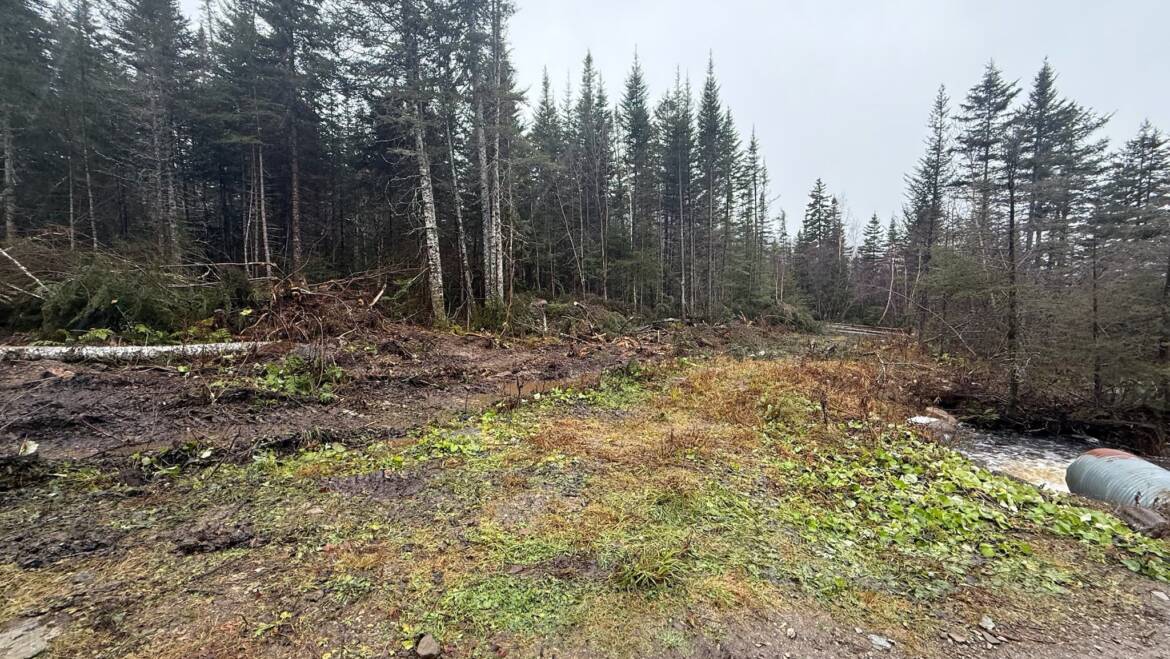 Nov. 16 – Trail Upgrade Report