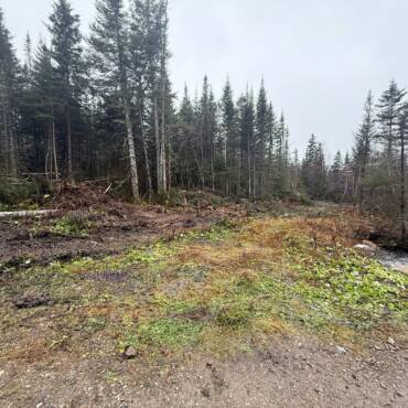 Nov. 16 – Trail Upgrade Report