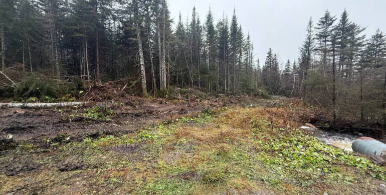 Nov. 16 – Trail Upgrade Report