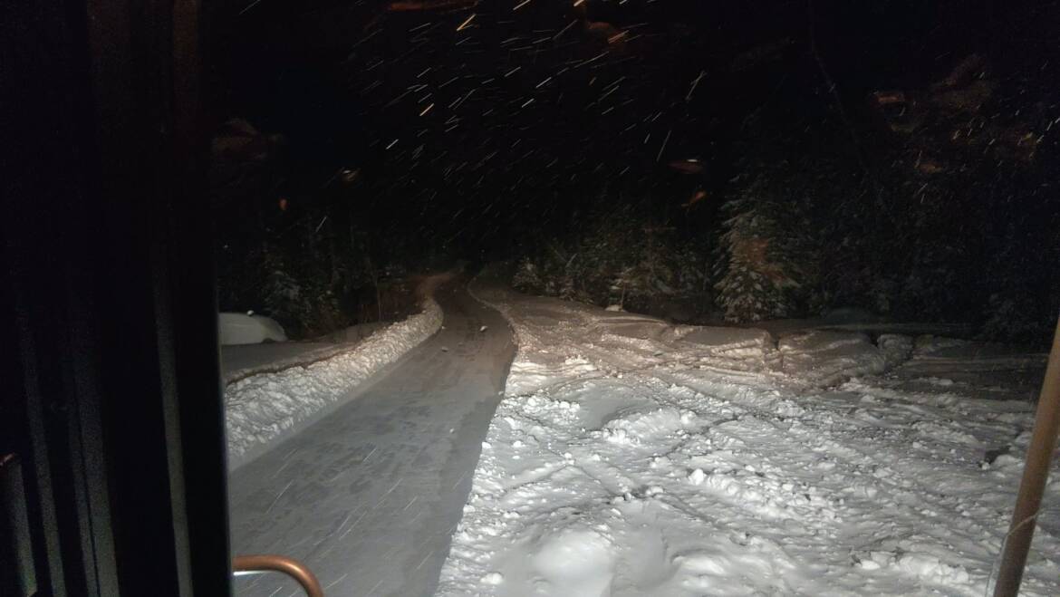 JTB Grooming Report – Saturday, February 7