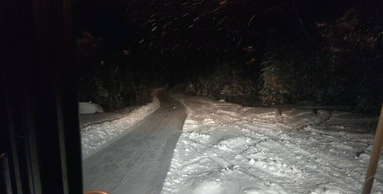 JTB Grooming Report – Saturday, February 7