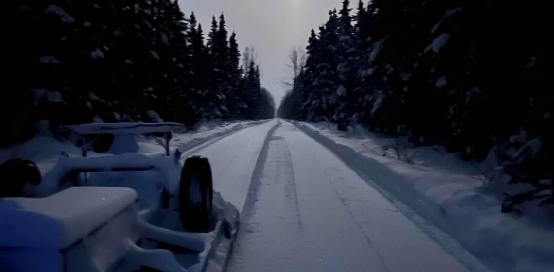 JTB Grooming Report – Wednesday, February 4, 2026