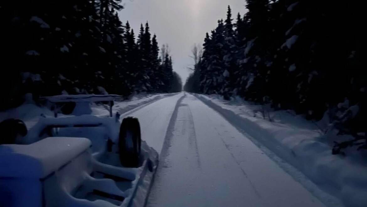 JTB Grooming Report – Wednesday, February 4, 2026