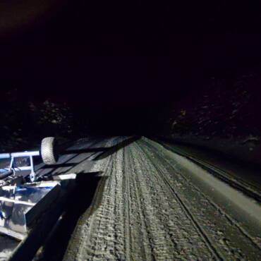 JTB Grooming Report – Sunday, February 8