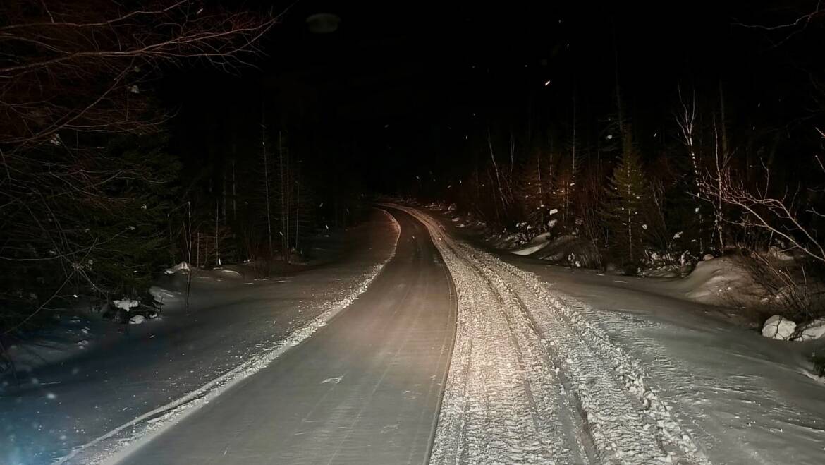 JTB Grooming Report – Sunday, February 22nd