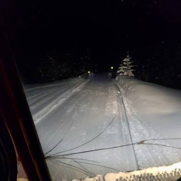 JTB Grooming Report – Monday, February 16th