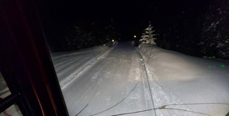 JTB Grooming Report – Monday, February 16th