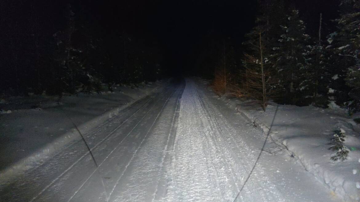 JTB Grooming Report – Wednesday, February 18