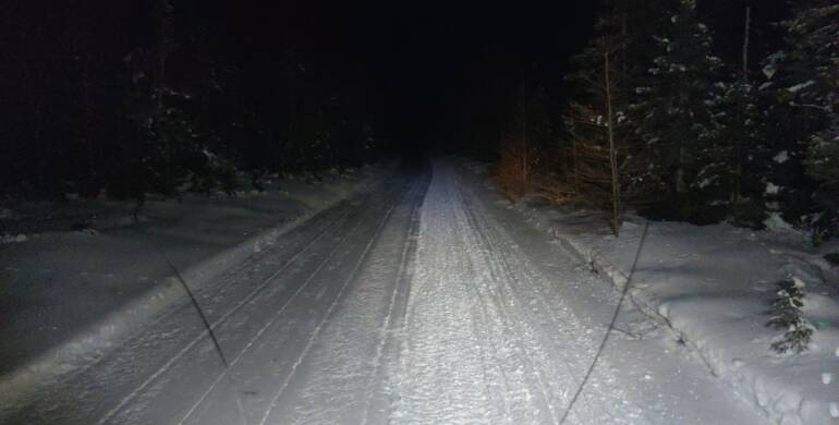 JTB Grooming Report – Wednesday, February 18