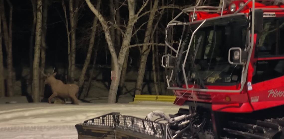 JTB Grooming Report – Tuesday, February 17th