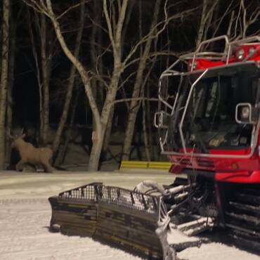 JTB Grooming Report – Tuesday, February 17th