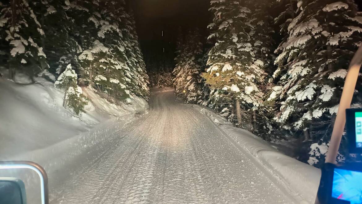 JTB Grooming Report – Thursday, February 19