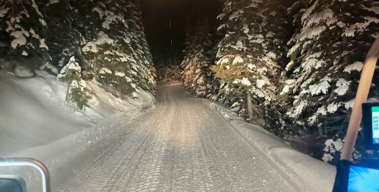 JTB Grooming Report – Thursday, February 19