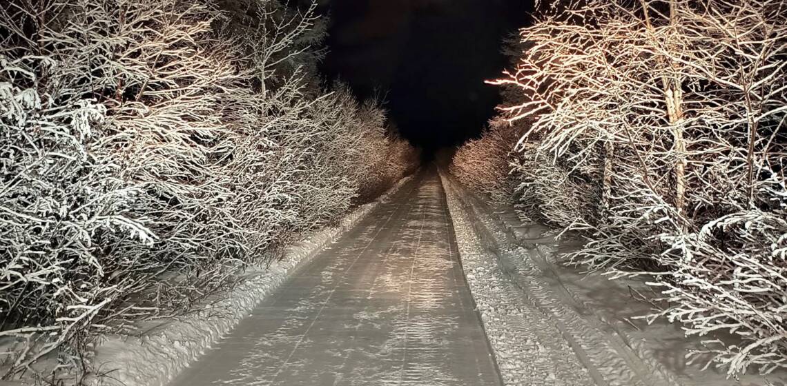 JTB Grooming Report – Sunday, March 1st