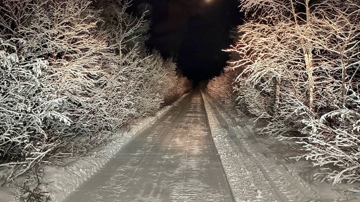 JTB Grooming Report – Sunday, March 1st