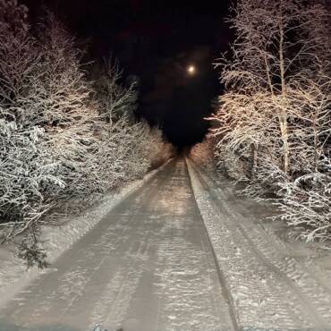 JTB Grooming Report – Sunday, March 1st