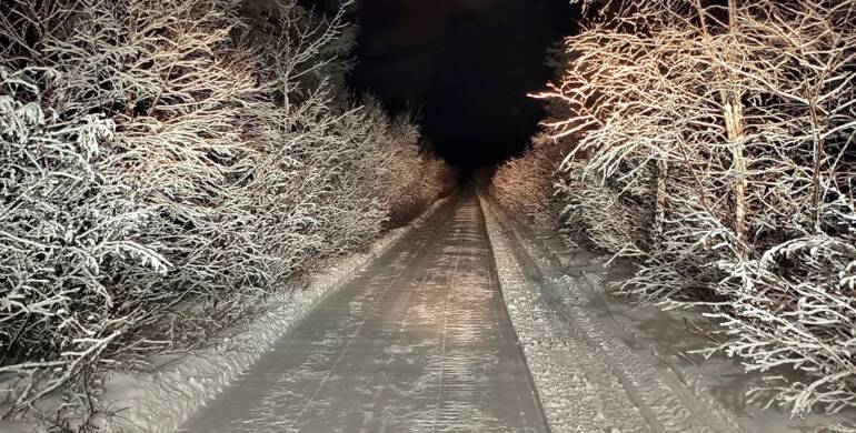 JTB Grooming Report – Sunday, March 1st