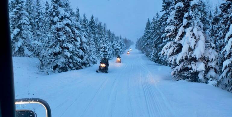 JTB Grooming Report – Friday, February 27th