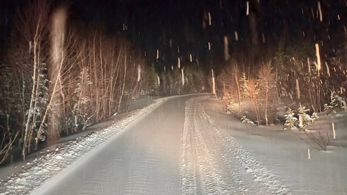 JTB Grooming Report – Tuesday, March 3rd