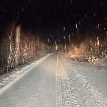 JTB Grooming Report – Tuesday, March 3rd