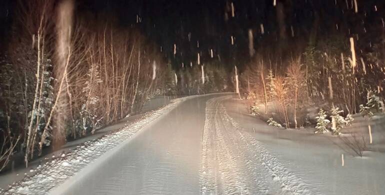 JTB Grooming Report – Tuesday, March 3rd