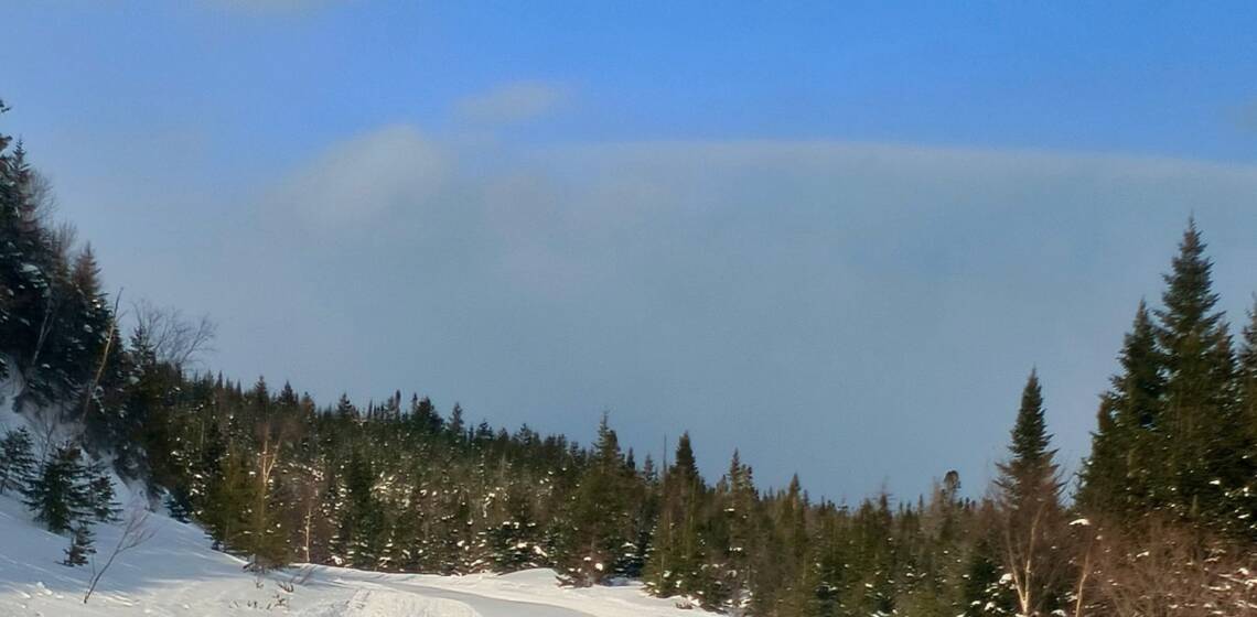 JTB Grooming Report – Wednesday, March 4th