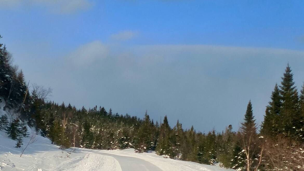 JTB Grooming Report – Wednesday, March 4th