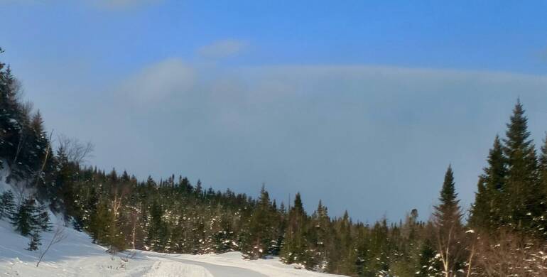 JTB Grooming Report – Wednesday, March 4th