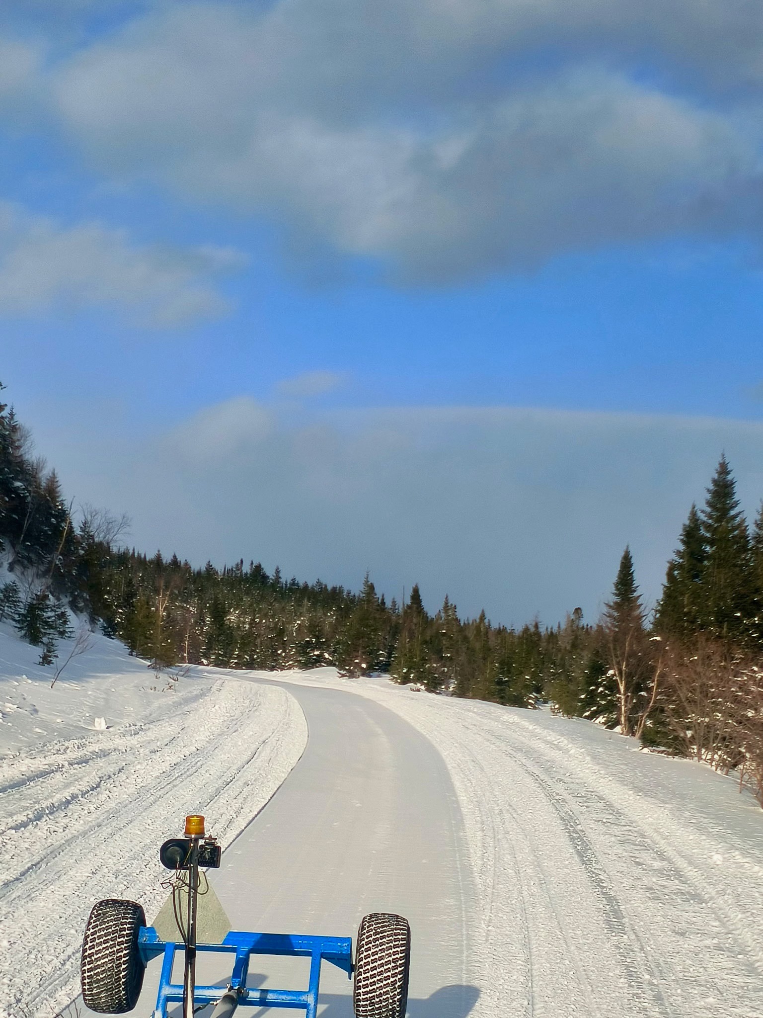 JTB Grooming Report – Wednesday, March 4th