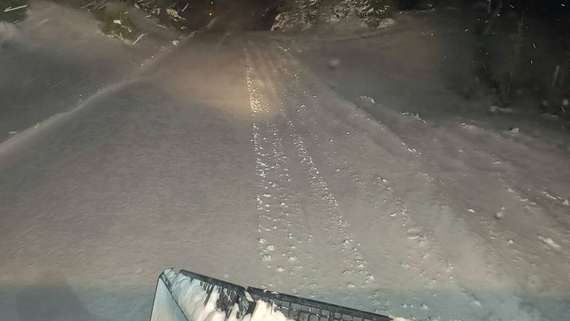 JTB Grooming Report – Thursday, March 5th