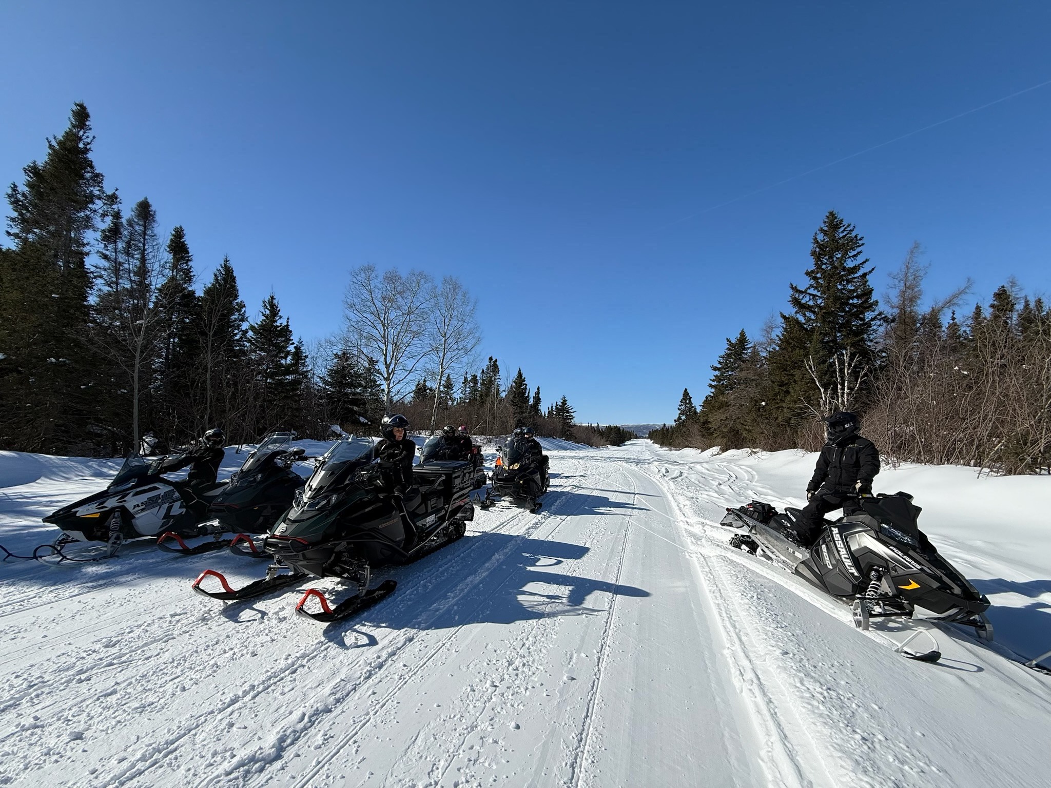 JTB Grooming Report – Saturday, March 7th