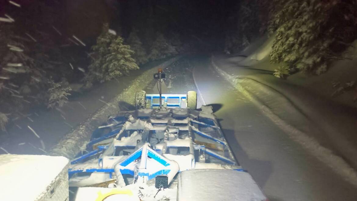 JTB Grooming Report – Saturday, March 14th