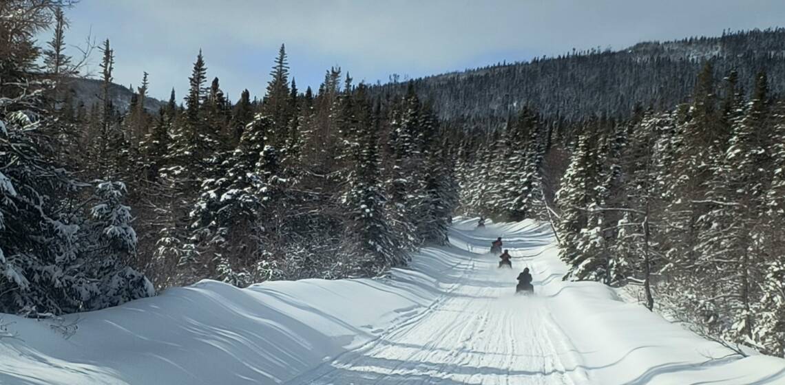 JTB Grooming Report – Monday, March 16th