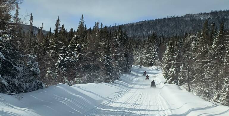 JTB Grooming Report – Monday, March 16th