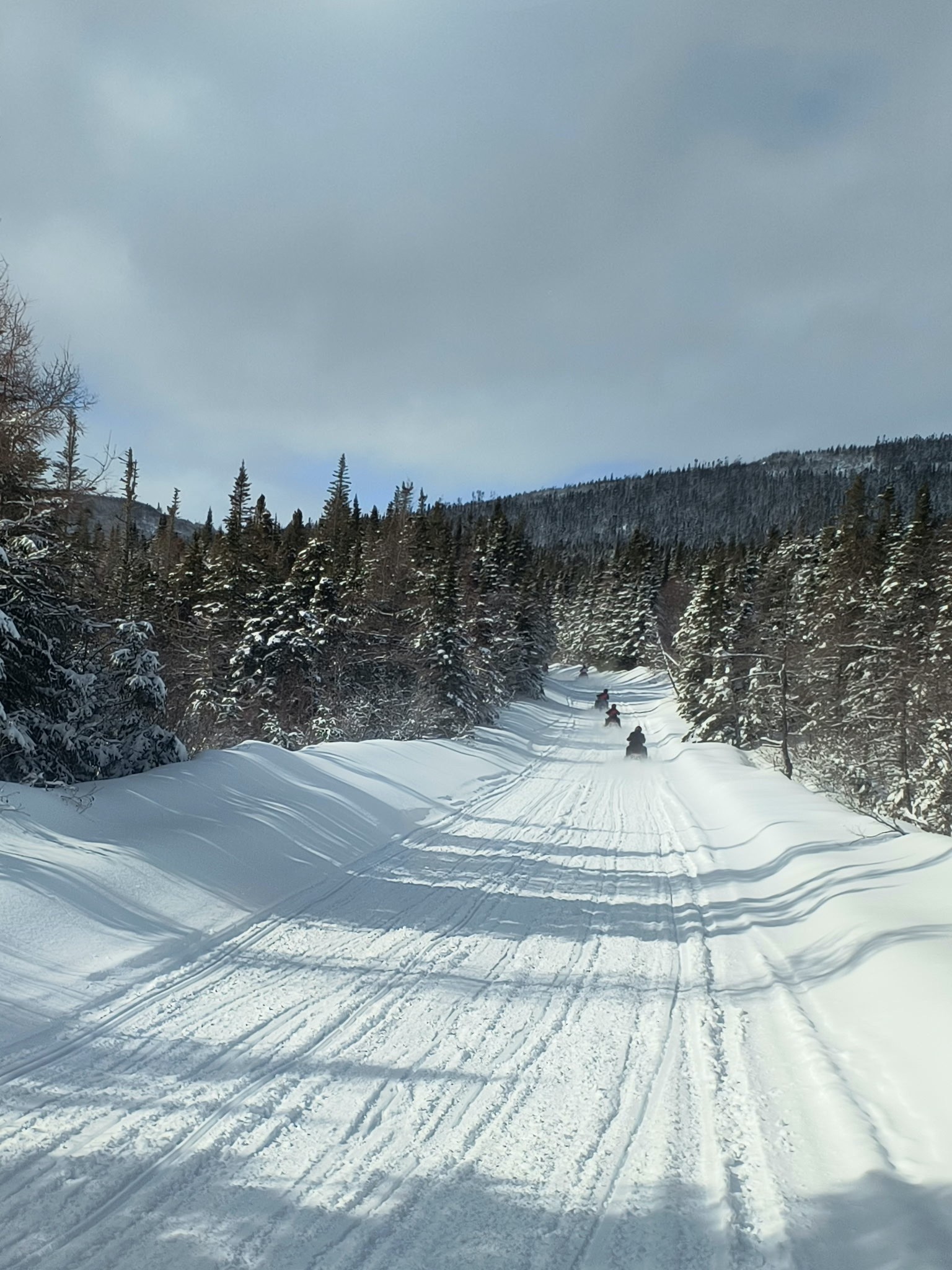 JTB Grooming Report – Monday, March 16th