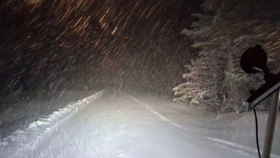 JTB Grooming Report – Sunday, March 15th