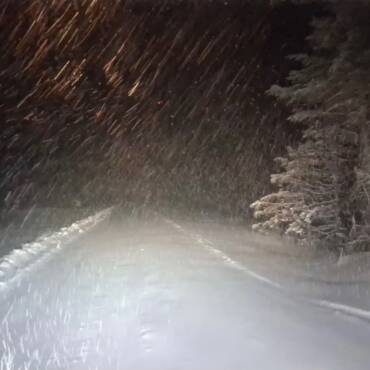 JTB Grooming Report – Thursday, March 26th