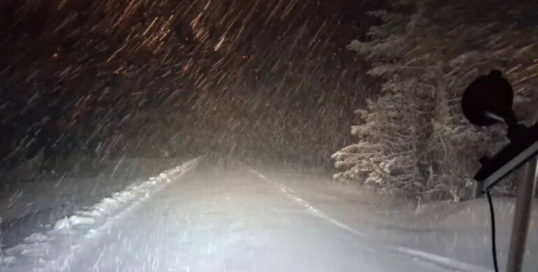 JTB Grooming Report – Sunday, March 15th