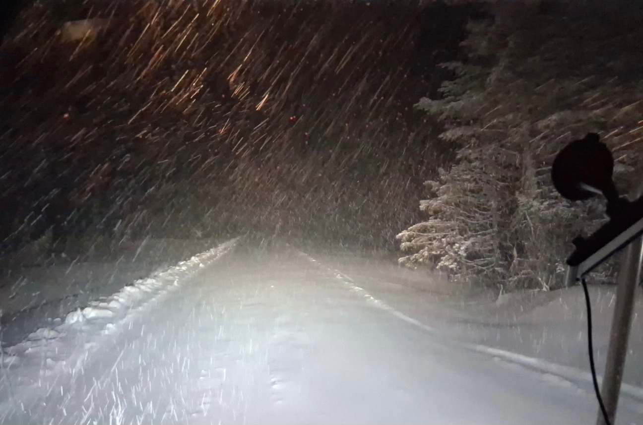 JTB Grooming Report – Sunday, March 15th