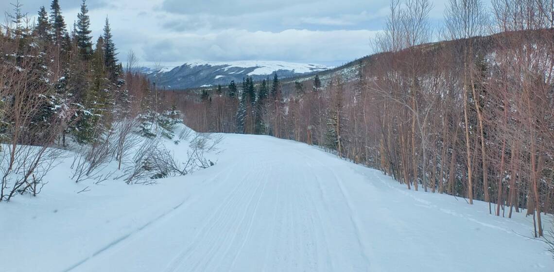 JTB Grooming Reports – Tuesday, March 17th