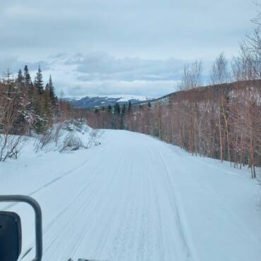 JTB Grooming Reports – Tuesday, March 17th