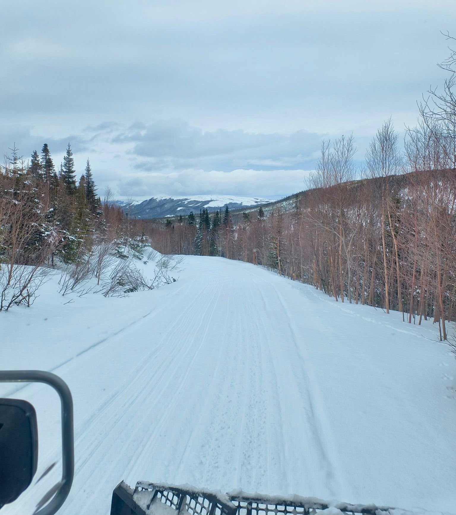 JTB Grooming Reports – Tuesday, March 17th