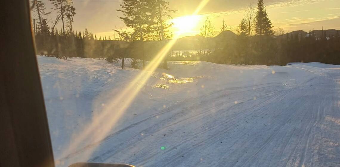 JTB Grooming Report – Friday, March 20th