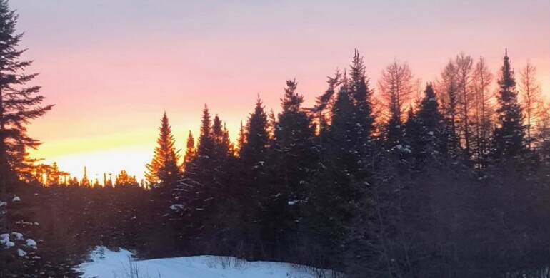 JTB Grooming Report – Tuesday, March 24th