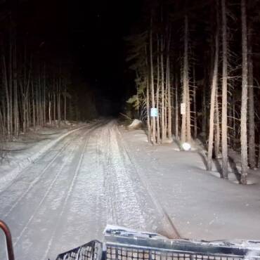 JTB Grooming Report – Sunday, March 29th