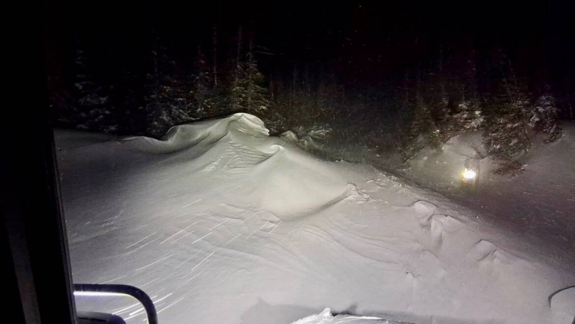 JTB Grooming Report – Saturday, March 28th