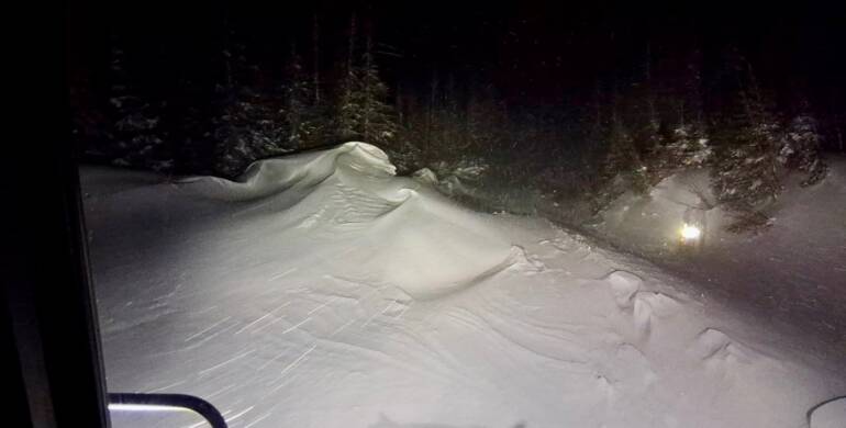 JTB Grooming Report – Saturday, March 28th