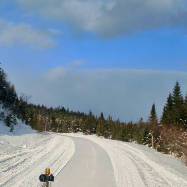 JTB Grooming Report – Friday, April 3rd