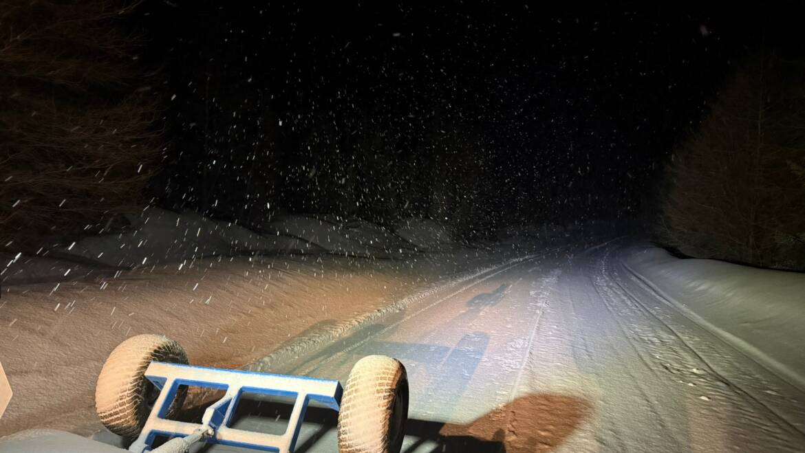 JTB Grooming Report – Wednesday, April 8th